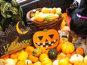 かぼちゃ畑☆|「フローリストアオキ」　（埼玉県さいたま市浦和区の花屋）のブログ