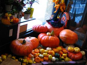 かぼちゃ畑...part2☆|「フローリストアオキ」　（埼玉県さいたま市浦和区の花屋）のブログ